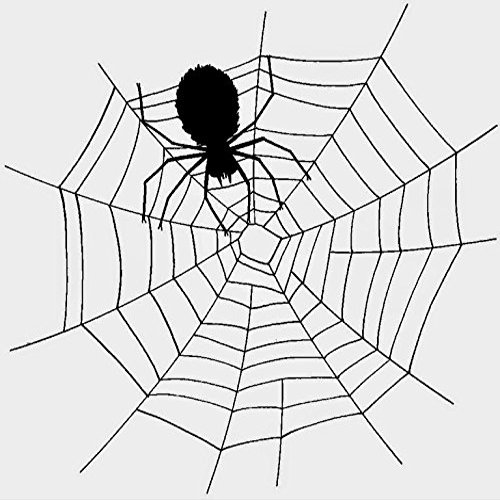 1/4 Sheet Cake - Spider Web Halloween - Edible Cake or Cupcake Topper - D20017