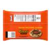 REESE'S Milk Chocolate Snack Size Peanut Butter Cups, Candy Jumbo Bag, 19.5 oz view 2