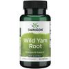 Swanson HRB Wild YAM Root Root & EXT 100 Cap view 1