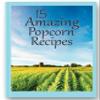 Amish Country Popcorn | Old Fashioned Microwave Popcorn | 10 Bags Cheddar Cheese Ladyfinger | Non-GMO, Gluten Free, Microwaveable and Kosher (10 Bags) view 4