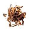 Gua Lou Pi Chinese Herb - Tricosanthes Peel Chinese Herb 1 Lb view 1
