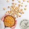 Be Still Farms Yellow Organic Popcorn Kernels (4.8lb) - Uncooked Corn Bulk Great for Movie Night - Healthy Microwave Snacks Ideal for Popping - USA Grown | USDA Certified | Vegan | Non-GMO view 4