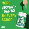 Vega Protein and Greens Protein Powder, Vanilla - 20g Plant Based Protein Plus Veggies, Vegan, Non GMO, Pea Protein for Women and Men, 21.7 Ounce (Packaging May Vary) (Pack of 1) view 3