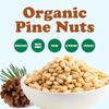 Food to Live Organic Pine Nuts, 2 Pounds  Non-GMO, Whole Raw Pignolias, Unsalted, No Shell, Vegan, Kosher, Bulk Snack. Rich in Vitamin E, Protein. Great for Pesto, Salads, Homemade Desserts view 4