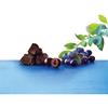 BROOKSIDE Dark Chocolate Acai and Blueberry Flavors, 21 Ounces, 2/BD (HEC91145) view 4