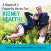 SOLARAY Kidney Blend SP-6 | Herbal Blend w/Cell Salt Nutrients to Help Support Healthy Kidney Function | Non-GMO, Vegan (3 Pack) view 3