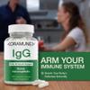 Oramune Support Supplement with Transfer Factor and Pure Colostrum IgG Supplement - 500mg Immunoglobulin - 100 Capsules view 3