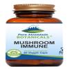 Pure Mountain Botanicals Mushroom Immune - 90 Kosher Capsules with 14 Powerful Mycelium Including Certified Organic Maitake - Reishi - Turkey Tail - Chaga - Cordyceps - Shiitake - Lions Mane view 1