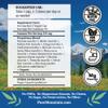 Pure Mountain Botanicals Mushroom Immune - 90 Kosher Capsules with 14 Powerful Mycelium Including Certified Organic Maitake - Reishi - Turkey Tail - Chaga - Cordyceps - Shiitake - Lions Mane view 2