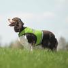 Insect Shield Insect Repellant Protective Safety Vest for Protecting Dogs from Fleas, Ticks, Mosquitoes & More 11-Inch view 4