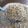 BULK GRAINS GRN OAT STEEL CUT ORG, 50 LB view 1