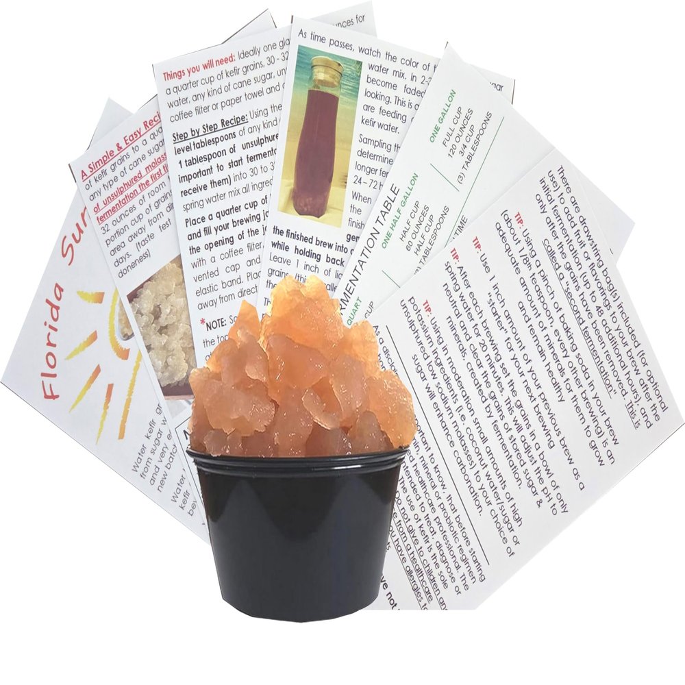 Florida Sun Kefir Large Portion Cup with 33% More Live Natural Water Kefir Grains