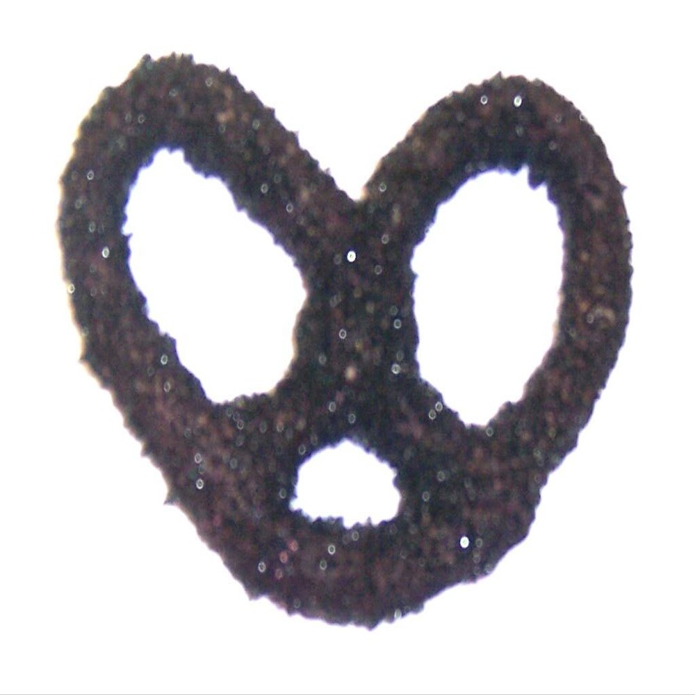 Scott's Cakes Dark Chocolate Covered Pretzels with Black Sugar in a 1 Pound Clear Cello Bag