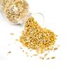 Carapils Dextrin Malt view 1