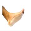 Plantar Fascia Straps 2"x9" 100/pack from Atlas Biomechanics view 2