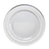 " OCCASIONS " 120 Plates Pack, Heavyweight Disposable Wedding Party Plastic Plates (10.5'' Dinner Plate, Lace in White & Silver) view 2