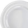 " OCCASIONS " 120 Plates Pack, Heavyweight Disposable Wedding Party Plastic Plates (10.5'' Dinner Plate, Lace in White & Silver) view 3