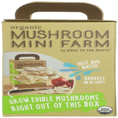 Back to the Roots Mushroom Mini Farm, 32.0 Ounce