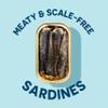 Wild Planet Wild Sardines in Water, No Salt Added, Tinned Fish, Non-GMO, Sustainable 4.4 Ounce , (Pack of 12) view 4