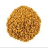 Pride of India  Fenugreek Seed Whole  Whole & Gourmet Indian Spice  Ideal Seasoning for Cooking  Free of Preservatives  Easy to Use  12 oz. Medium Dual Sifter Jar view 3