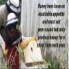 HomeBrewStuff Basic 1 Gallon Nano-Meadery Hopped Honey Mead Recipe Refill Kit view 4