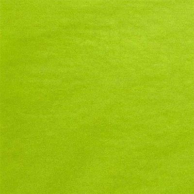 480ea - 20" X 30" Quire Fold Premium Matte Aloe Tissue Paper