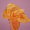480ea - 20" X 30" Quire Fold PRM Matte Apricot Tissue Ppr view 1