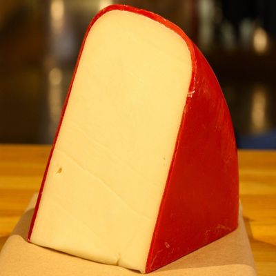 Danish Fontina