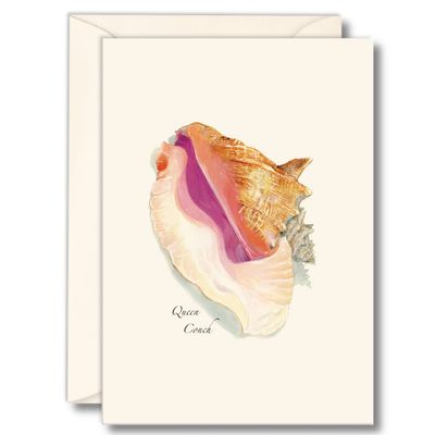 Earth Sky + Water - Queen Conch Shell Boxed Note Cards