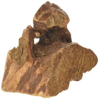 Antos Natural Root Chew X Large 750-1000 g