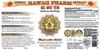 Zi Su Ye Liquid Extract, Zi Su Ye (Folium Perillae) Leaf Tincture, Herbal Supplement, Hawaii Pharm, Made in USA, 15x4 fl.oz view 2