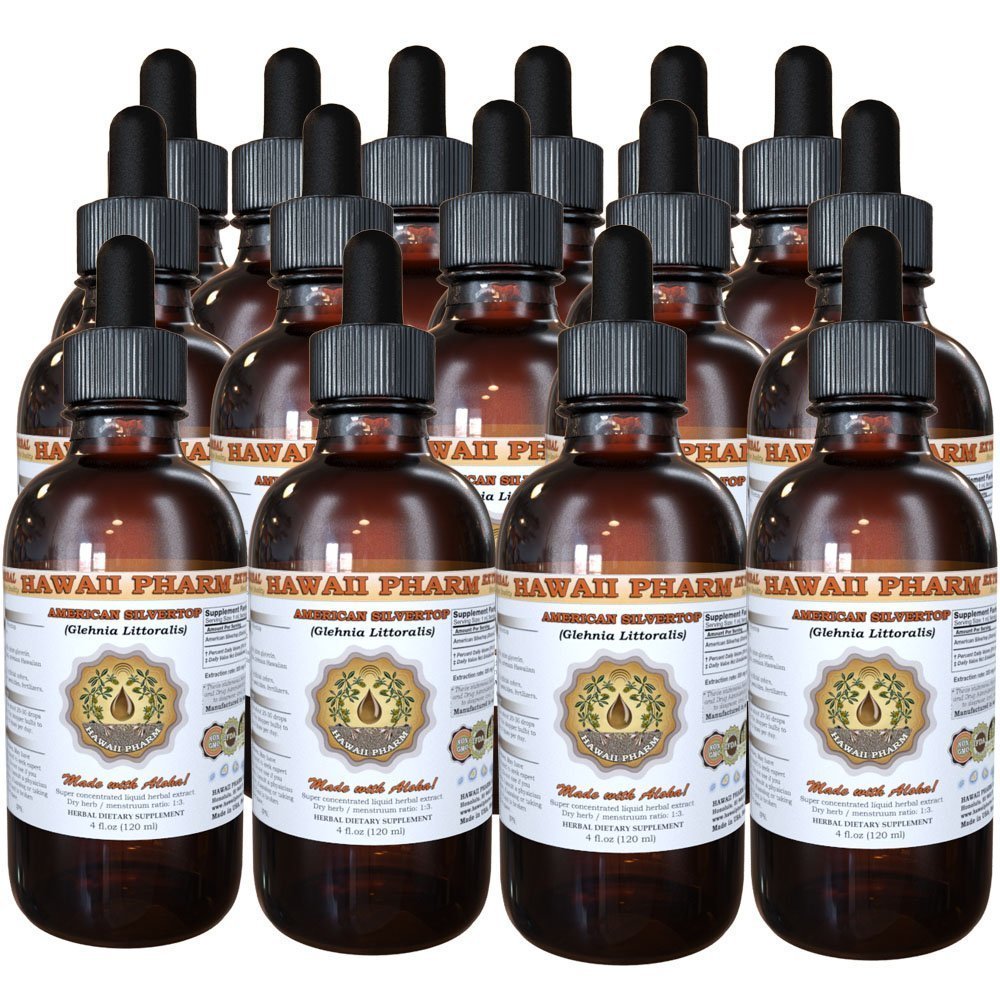 American Silvertop Liquid Extract, American Silvertop (Glehnia Littoralis) Root Tincture Supplement 15x4 oz