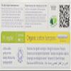 Organic Regular Tampons with Applicator view 2