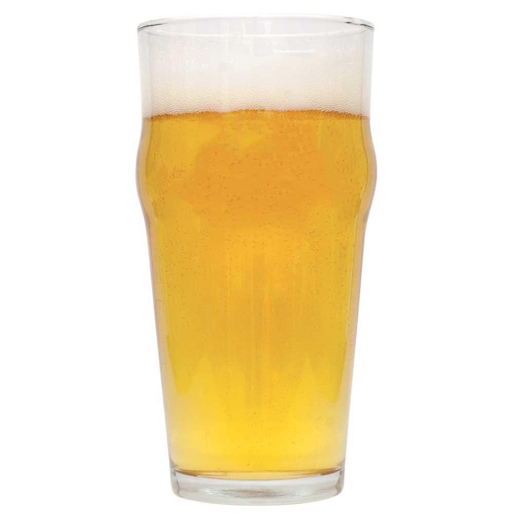 Northern Brewer - Kiwi Express IPA Extract Beer Recipe Kit - Makes 5 Gallons