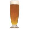 Northern Brewer - Belgian Saison Farmhouse Ale Extract Beer Recipe Kit - Ingredients for Making 5 Gallons view 1