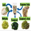 Low calorie!! Instant soup base (Kelp,Seaweed,Leek,Kagome kelp,Seaweed stem,Mekabu) 2.6 oz Just pour hot water to complete (Kelp) view 4