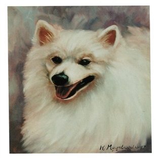 American Eskimo Head Study Notecards
