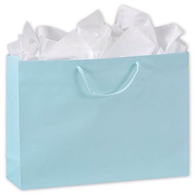 EGPChecks Retail Shopping Bag Qty 100 Size 16 x 4 3/4 x 13