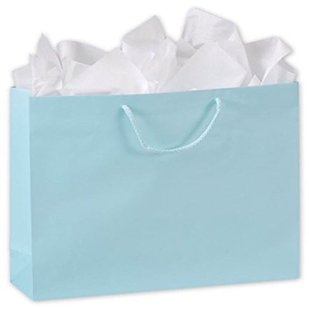 EGPChecks Retail Shopping Bag Qty 100 Size 16 x 4 3/4 x 13