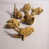 Dorothy27 GOLDENSEA- 6~8 Years-Grown Wisconsin Ginseng Roots 1lb view 4