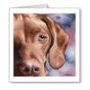 DJ Rogers Fine Art Hungarian Vizsla - Set of 10 Note Cards With Envelopes view 1