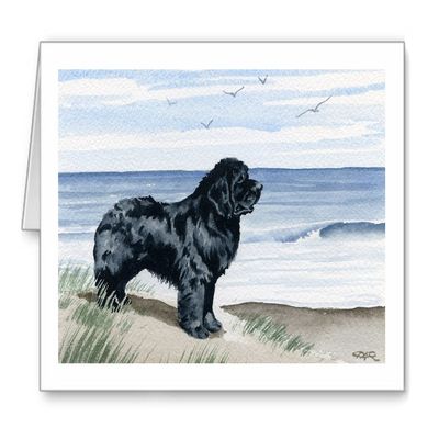 DJ Rogers Fine Art Newfoundland At The Beach - Set of 10 Note Cards With Envelopes