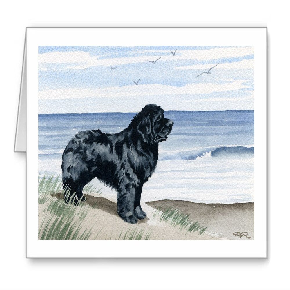 DJ Rogers Fine Art Newfoundland At The Beach - Set of 10 Note Cards With Envelopes