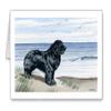 DJ Rogers Fine Art Newfoundland At The Beach - Set of 10 Note Cards With Envelopes view 1