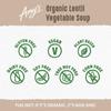 Amy's Lentil Vegetable Soup - 14.5 oz view 3