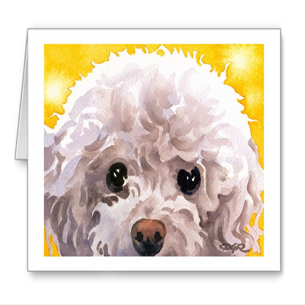 DJ Rogers Fine Art White Poodle - Set of 10 Note Cards With Envelopes