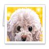 DJ Rogers Fine Art White Poodle - Set of 10 Note Cards With Envelopes view 1