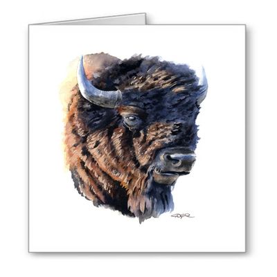 DJ Rogers Fine Art Buffalo - Bison - Set of 10 Note Cards With Envelopes