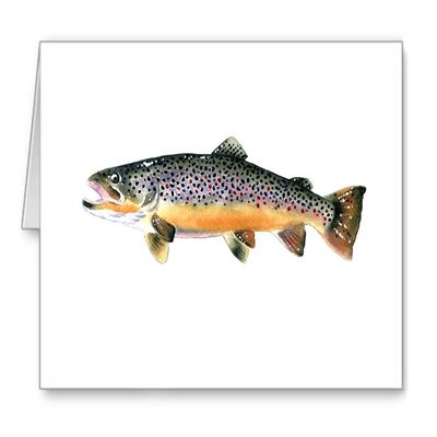 DJ Rogers Fine Art Brown Trout - Fly Fishing - Set of 10 Note Cards With Envelopes
