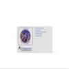 Kefir Starter Culture - Pack of 10 Freeze Dried Sachets (10) view 3